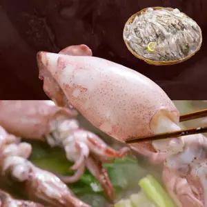 [홈쇼핑] 통째먹는 총알 한치 오징어 100미 1.2kg 