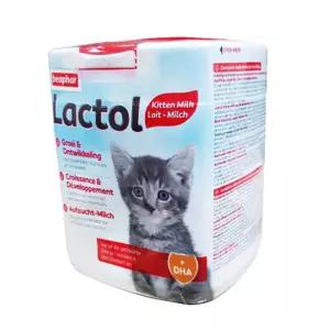 모유대체가능한 아기 고양이 영양제 냥생이종합영양제 돼냥이건강