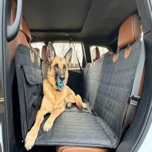 반려견 펫시트 겸용 뒷좌석 자동차 컬러