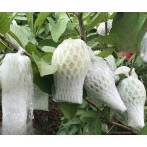 사과 보호망 50 포장재 100세트 싸개 10 화이트도톰 대량 낙하보호 네트 농사용 멜론