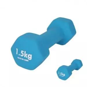 네오프렌 아령 1.5Kg 블루 여성 헬스아령