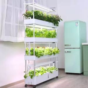 식물재배기 수경재배기 새싹 트레이 야채 모종 파종