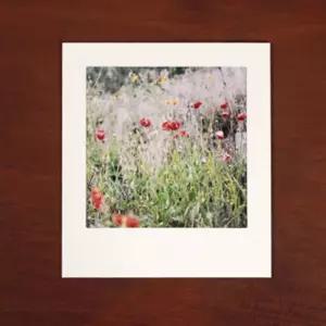 (5X5 화이트 10장) 종이 액자/사진/인테리어/프레임/거실/페이퍼/인화/포토/가정용/데코/가족/꾸미기/사각