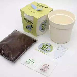 레몬밤 식물 기르기 텃밭