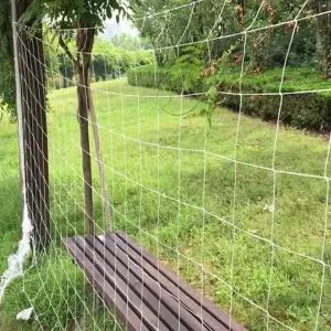 식물 울타리 그물망 텃밭 식물지지대