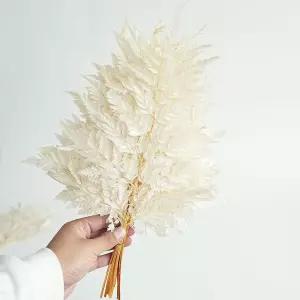 10PCS의 정교한 말린 잎과 꽃 줄기 - 장식 흰색 유칼립투스 인공 양치류 멋진 장식을 위한 골격 잎