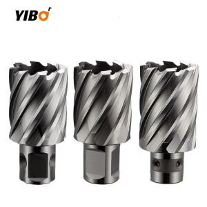 HSS-E 환형 커터 구멍 톱 코어 드릴 비트 마그네틱 드릴용 12-60mm x 25mm 범용 용접돈 Fein 퀵 인 생크