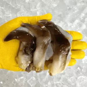 [고수율선별] 여수 손질 새조개 산지출발 200g