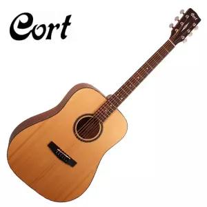 [스쿨뮤직]콜트 Cort AD850 통기타 (OP)