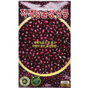 [영농사]적강낭콩씨앗 30g 강낭콩씨앗