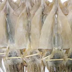 마른오징어 특대10마리 1kg 건조오징어