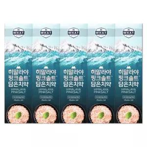 엘지 죽염 히말라야 핑크솔트 담은 치약 아이스 100g X 5개