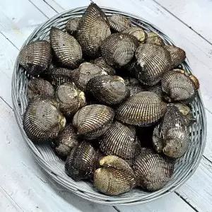 국내산 특대 피조개 피꼬막 3kg