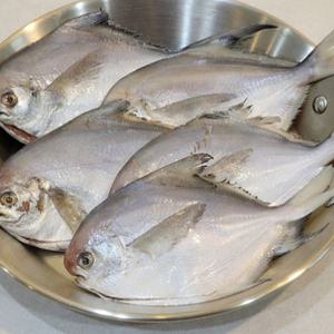 흰살생선 손질 생선 냉동생선 병어 10마리 손질생선