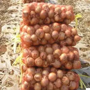 양파망/양파자루 약 40cmx75cm(20kg) 25개  H1758