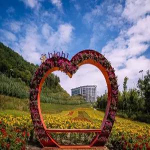 [강원] 하이원리조트 마운틴PLUS콘도(강원, 정선)