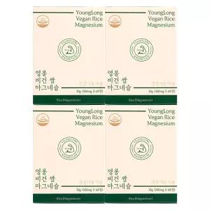 영롱 비건 쌀 마그네슘 500mg x 60정 4개 / 써클
