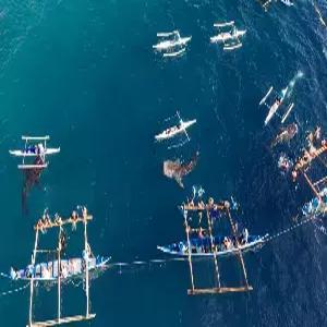 [청주출발]세부 자유여행 5일 #차박 #벨몬트호텔 #뉴막탄위치 #오슬롭고래상어 #패스트트랙 #모알보알 #공항픽업 #여행자보험 #아쿠아웰컴BAG+쿠폰북제공 #선택관광사전예약할인