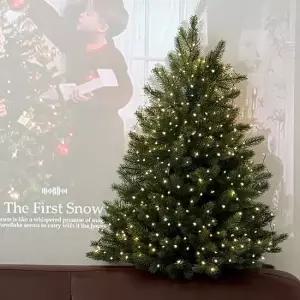 70cm 프리미엄 크리스마스 벽트리 세트 PE 100