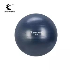 안티버스트 짐볼 75cm 블루인디고필라테스 헬스 피트니스 운동 근력