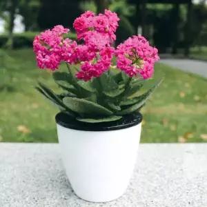 자동급수 화분 2p세트 그린러브 13x14cm