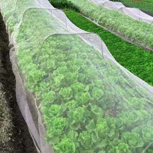 (다올)한랭사 비닐하우스 자재 2.5M x 10M 농사용