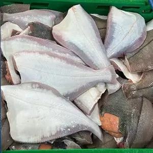 [셀러허브 식품]동해 손질 생물 참 가자미 1.65kg 12-18미 중소 알가자미 생물 가자미 필렛 알배기가 (467