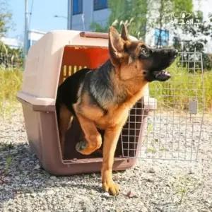 밥그릇 대형견 켄넬 바퀴 배변판 포함 XL