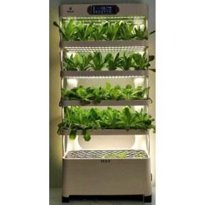 수경재배기 식물재배 타워형 채소키우기 스마트팜 재배기 루꼴라 인테리어 토마토 채소 재배