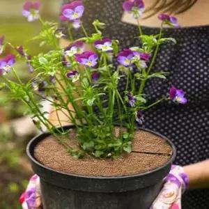 20cm 10개 화분덮개 코코넛커버 화분가리개 흙커버 식물커버