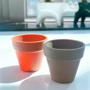 분갈이 소형 모종 플라스틱 미니 화분 고양이수염 모루꽃 비즈식물