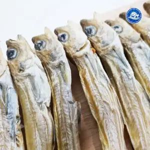 대구줄노가리 140급(40마리) 줄노가리 마른안주