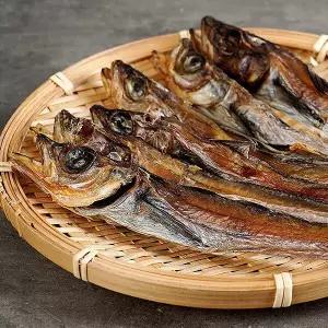 줄노가리 20미(23cm~25cm)