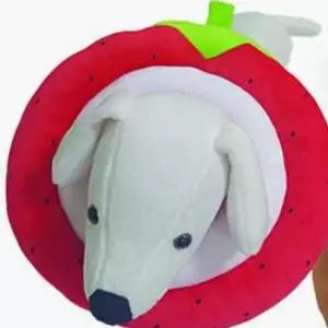 핥음방지 애완 동물 딸기 넥카라 S 깔대기 애견용품