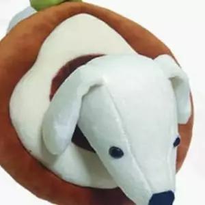 핥음방지 애완 동물 아보카도 넥카라 L 깔대기 가벼운 수술