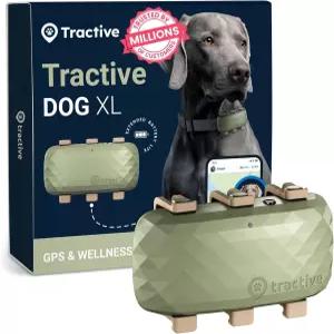Tractive XL 스마트 도그 GPS 트래커 가상 울타리가 있는 라이브 펫 심박수 및 호흡수 모니터링 바이탈