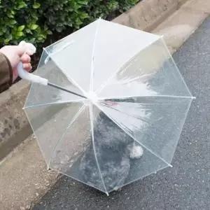 [반려] 강아지 투명 우산 산책용 애견용품 비 오는 날 필수 아이템