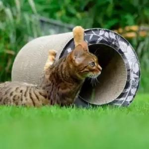 고양이집 캣온 캣퍼니쳐 르튜브 100.210 290x290x540mm