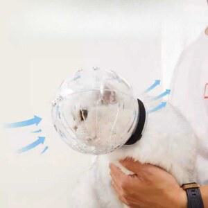 고양이 헬멧 물림방지 머리 강아지 넥카라 커버 반려묘 투명