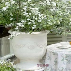 로마 기둥 장식 웨딩촬영 스튜디오 유럽식 인테리어