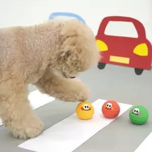 패리스독 신호등라텍스토이 1팩단위 6EA 37-1번강아지 삑삑이 소리나는장난감 강아지공 공장난감 애견장남