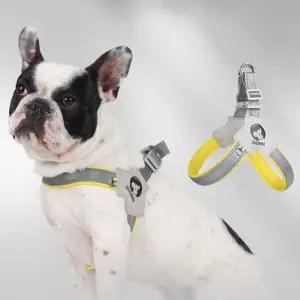 가슴 다리 편한 야간 반사 튼튼 Y형 가슴줄 하네스강아지 중형견 귀여운 애견 고양이 펫용품 대형견