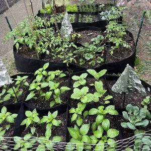 화분 부직포 베란다 8분할 180x90실내 식물 인테리어 소품 정원 꾸미기 장식 디자인