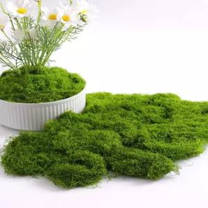 인조 이끼 카페 인테리어 잔디 가짜이끼 조경