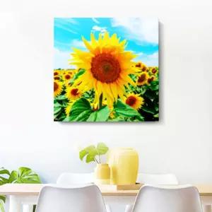 해바라기 그림액자 사무실 실내 가정용 인테리어 집들이선물 거실 대형 돈나무 풍수 개업 현관