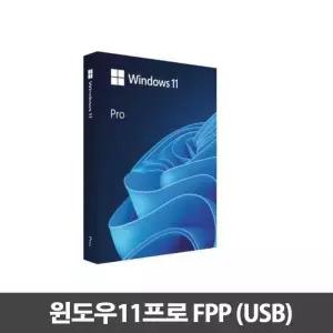 윈도우11프로 Pro 처음사용자용 한글 FPP USB 영구사용