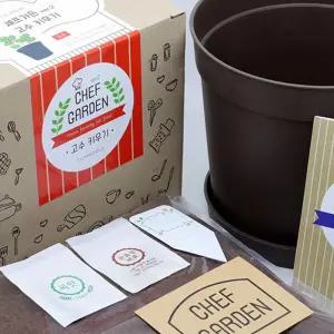 홈가드닝 채소 텃밭 고수 야채 재배 패키지거실화분 인테리어 실내식물 미니 사무실 소형 키우기쉬운 키우