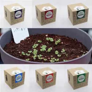 베란다텃밭 홈가드닝 야채 재배 채소 키우기 세트거실화분인테리어 실내식물 미니 사무실 소형 키우기쉬운