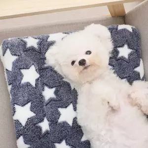 사계절 애완동물 방석 쿠션펫쿠션 애견펜션 고양이 애묘 캣타워 쿠션 케어 강아지 반려