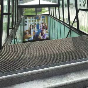 해이프 대형 발매트 현관 입문 흙받이 고양이 화장실 사